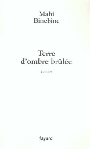 Terre d'ombre brûlée