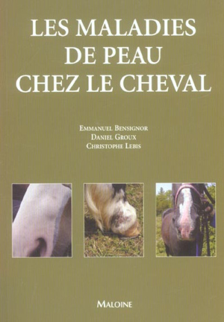 Les maladies de peau chez le cheval