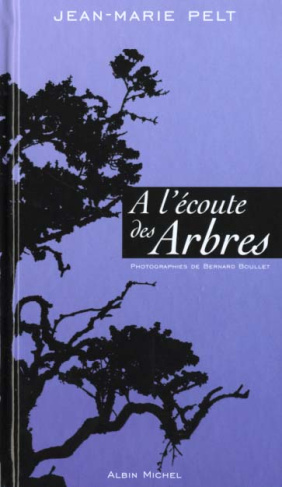 A l'écoute des arbres