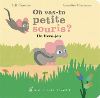 Ou vas-tu petite souris ? Un livre-jeu