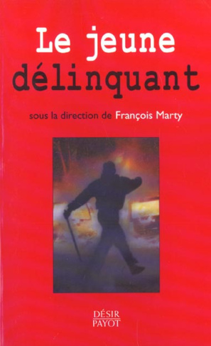 Le jeune délinquant