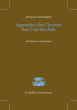 Apprendre à lire l'éternité dans l'oeil des chats ou De l'émerveillement causé par les bêtes