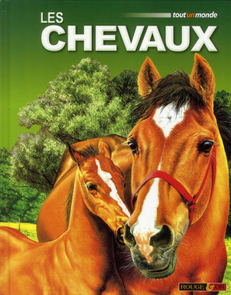 Les chevaux