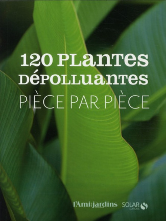 120 plantes dépolluantes pièce par pièce