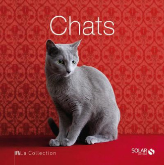 Chats