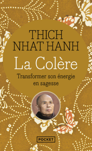 La colère. Transformer son énergie en sagesse