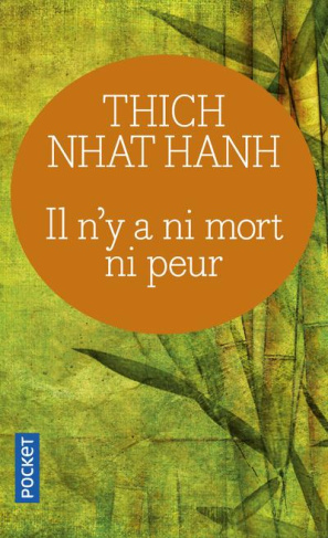 Il n'y a ni mort ni peur. Une sagesse réconfortante pour la vie