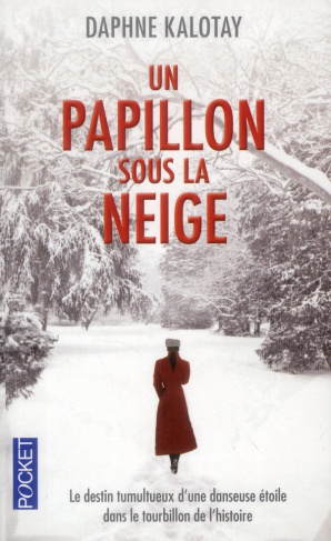 Un papillon sous la neige