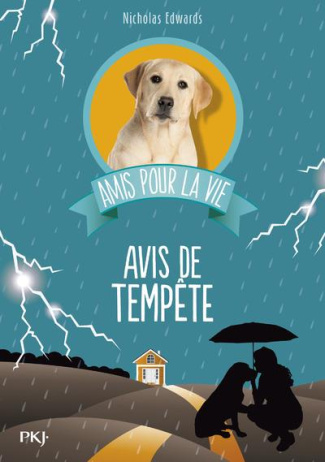 Amis pour la vie Tome 2 : Avis de tempète