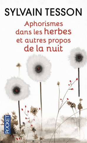 Aphorismes dans les herbes. Et autres propos de la nuit