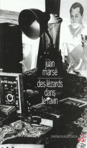 Des lézards dans le ravin