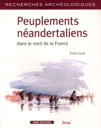 Peuplements néandertaliens dans le nord de la France. Territoires, industries lithiques et occupatio