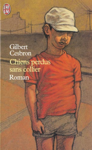 Chiens perdus sans collier