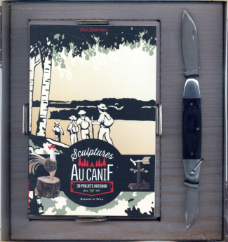 Sculpture au canif. 30 projets outdoor