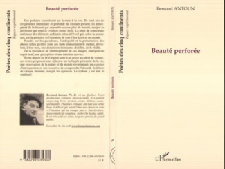 Beauté perforée
