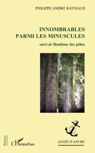 Innombrables parmi les minuscules. Suivi de Banlieue des pôles