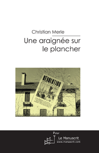 Une araignée sur le plancher