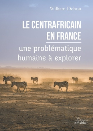 Le centrafricain en France : une problématique humaine à explorer