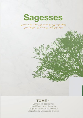 Sagesses. Tome 1, L'éveil des aspirations spirituelles