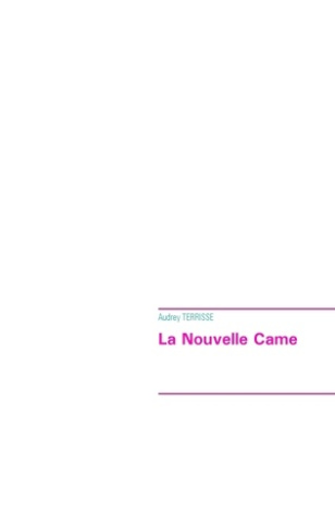 La nouvelle came