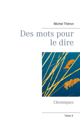 DES MOTS POUR LE DIRE - CHRONIQUES (VOLUME 3)