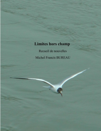 Limites hors champ. Recueil de nouvelles