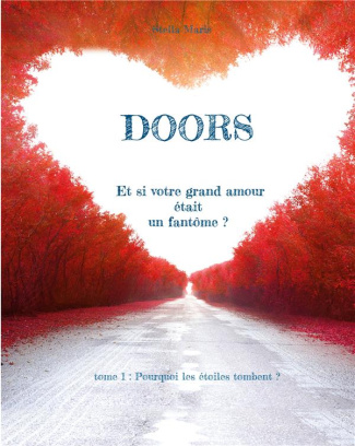 Doors Tome 1 : Pourquoi les étoiles tombent ?