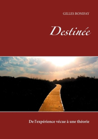 Destinée. De l'expérience vécue à une théorie