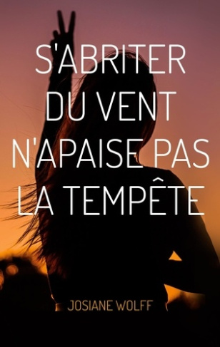 S'abriter du vent n'apaise pas la tempête. Poésie librement consentie