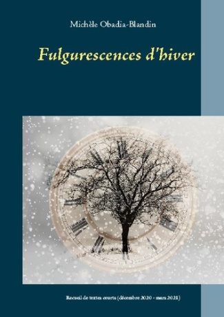 Fulgurescences d'hiver. Recueil de textes courts (décembre 2020-mars 2021)
