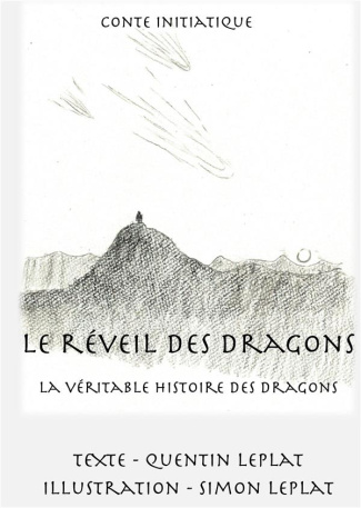 Le réveil des dragons. La véritable histoire des dragons !