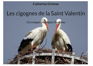 Les cigognes de la Saint Valentin. Chroniques poétiques illustrées