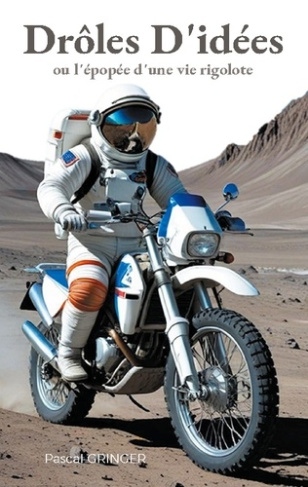 Drôles D'idées. ou l'épopée d'une vie rigolote
