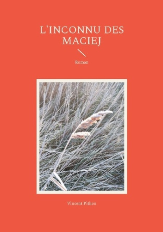 L'inconnu des Maciej. Roman