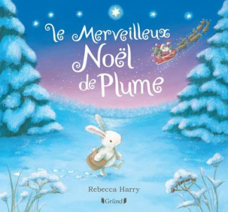 Le merveilleux Noël de plume