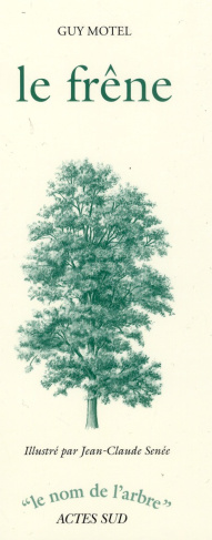 Le frêne