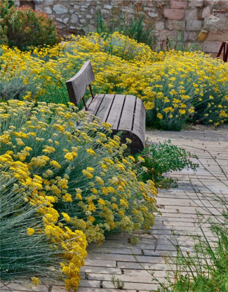 Le Jardin des migrations. Un parcours ethnobotanique au Mucem