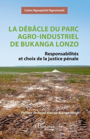 La débâcle du parc agro-industriel de Bukanga Lonzo. Responsabilités et choix de la justice pénale