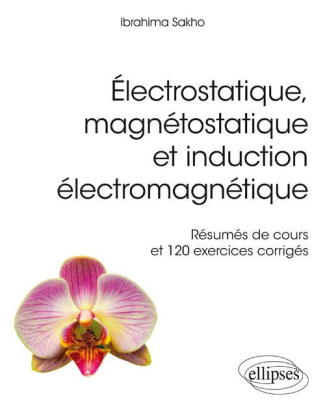 Electrostatique magnétostatique et induction électromagnétique