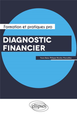 Diagnostic d'entreprise. Performance, capital immatériel et risques