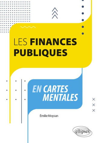 Les finances publiques en cartes mentales