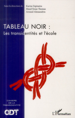 Tableau noir : les transidentités et l'école