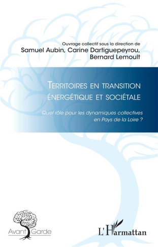 Territoires en transition énergétique et sociétale. Quel rôle pour les dynamiques collectives en Pay