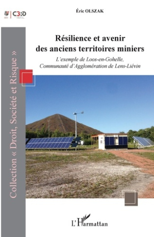 Résilience et avenir des anciens territoires miniers. L'exemple de Loos-en-Gohelle, Communauté d'Agg