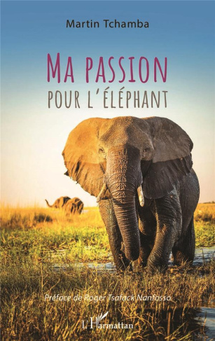 Ma passion pour l'éléphant