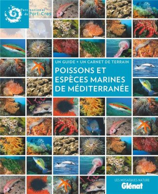 Poissons et espèces marines en Méditerranée. Un guide un carnet de terrain