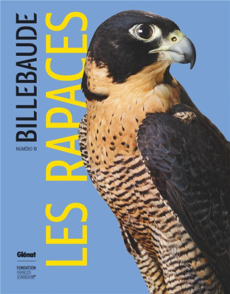 Billebaude N° 18 : Les rapaces