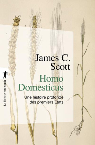 Homo domesticus. Une histoire profonde des premiers Etats