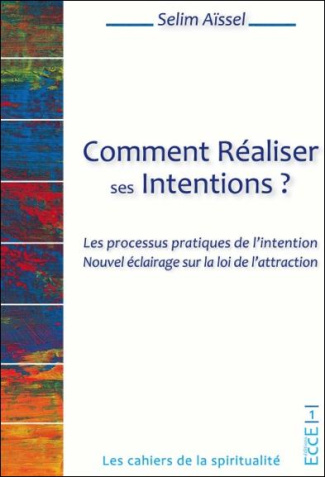 Comment réaliser ses intentions ? Les processus pratiques de l'intention. Nouvel éclairage sur la lo