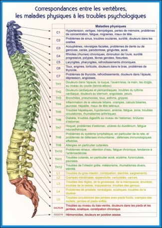 PLANCHE CORRESPONDANCES ENTRE LES VERTEBRES, LES MALADIES PHYSIQUES & LES TROUBLES PSYCHOLOGIQUES
